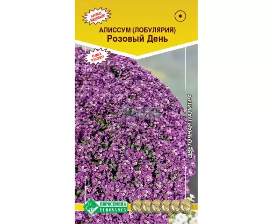 Семена Евросемена Лобулярия морская (алиссум) Розовый день 0,1г