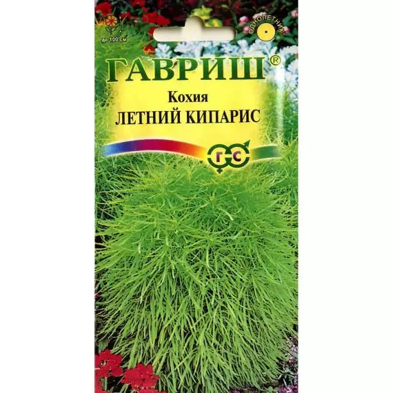Семена ГАВРИШ КОХИЯ Летний кипарис
