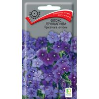 Семена Поиск Флокс друммонда Красотка в голубом 0,1г