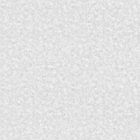 Обои флиз ЭРА  1,06*10м сер  1574-21