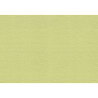 Обои флиз. 1015/2 фисташковый