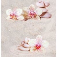 Панель ПВХ ОРХИДЕЯ 2-352 2,7х0,25х0,007мм