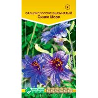 Семена Евросемена Сальпиглоссис выемчатый Синее море 0,02г