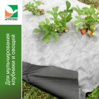 Мульча перфорированная  80 "UV" бело-черный 1,6*м 10м