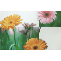 Обои винил 96700 Герберы винил цветы