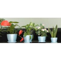 Горшок Бутон Кассандра d17  77/голубой