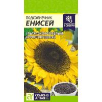Семена Алтая Подсолнечник кондитерский Енисей 10г