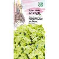 Семена Гавриш Табак душистый Солнечный зайчик 0,05г