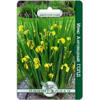 Семена Биотехника Ирис аировидный Голд  8шт