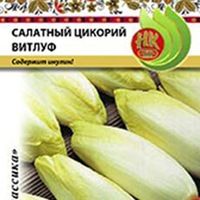Семена РУССКИЙ ОГОРОД Цикорий салатный Витлуф 0,5г