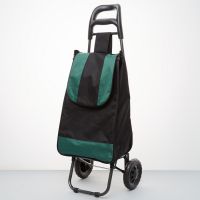 Тележка багажная DT-20 грузопод.25кг