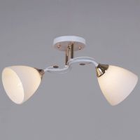 06104-0.3-02 WH+FG светильник потолочный