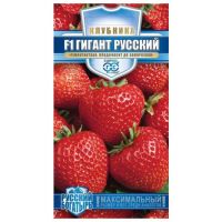Семена Гавриш Клубника (земляника) Гигант русский F1 5шт РБ