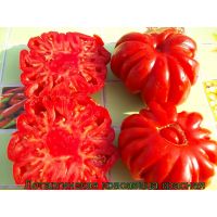 Семена АЭЛИТА Томат ЛОТАРИНГСКАЯ КРАСАВИЦА 10шт