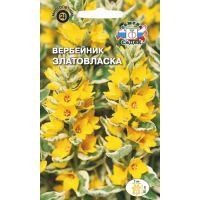 Семена СеДеК Вербейник точечный Златовласка 0,1г