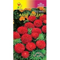 Семена Цветущий Сад Астра Алый бордюр 0,2г