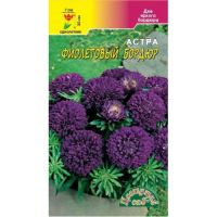 Семена Цветущий Сад Астра Фиолетовый бордюр 0,2г