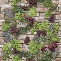 Обои винил Флорис беж 8114 (Э1)