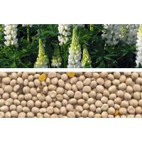 Люпин 0,5 кг Сидерат