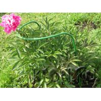 Опора для пионов 6847