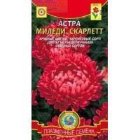 Семена Плазменные Семена Астра Миледи Скарлетт 0,1г