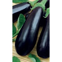 Семена Уральский Дачник Баклажан Галич 20шт