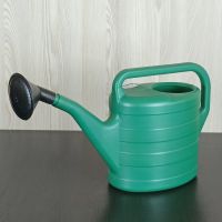 Лейка 12л Люкс  002969