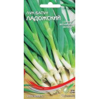 Семена Дом Семян Лук батун Ладожский 150шт