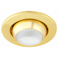 Светильник "РЫБИЙ ГЛАЗ" литье золото G4 12*20W FT9214G