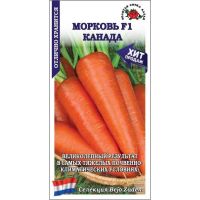 Семена Золотая Сотка Алтая Морковь Канада F1 100шт