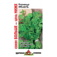 Семена Гавриш Кориандр (кинза) Прелесть 5г