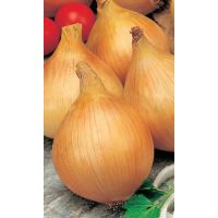 Семена Уральский Дачник Лук репчатый Центурион F1 0,25г