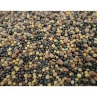 Смесь редька+рапс+горчица 500гр