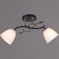 10134-0.3-02 BK+FG светильник потолочный