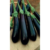 Семена Уральский Дачник Баклажан Длинный фиолетовый 20шт