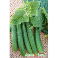 Семена Русский Огород Огурец Зозуленок F1 8шт