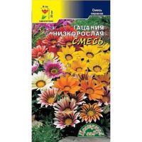 Семена Цветущий Сад Гацания Бордюрная 0,03г смесь