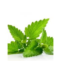 Семена АСТ Мята перечная Москвичка 0,02г