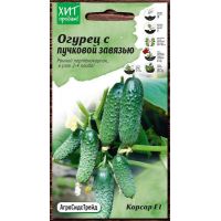 Семена АСТ Огурец Корсар F1 7шт