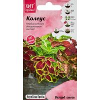 Семена АСТ Колеус Визард смесь 10шт