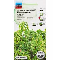 Семена АСТ Базилик овощной Балконное чудо 0,25г