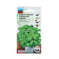 Семена АСТ Базилик овощной Сибирский карлик 0,25г
