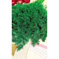 Семена АСТ Укроп Узбекский 243 2г