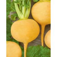 Семена АСТ Репа Голден Болл (Золотой Шар) 0,25г