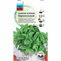 Семена АСТ Базилик овощной Карамельный 0,25г