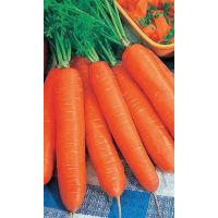 Семена АСТ Морковь Хрустящее счастье 1,5г