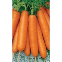Семена АСТ Морковь Несравненная 2г