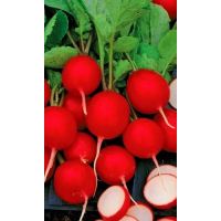 Семена АСТ Редис Вишневый хруст 2г