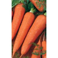 Семена АСТ Морковь Роте Ризен 2г