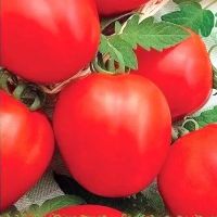 Семена АСТ Томат Скарлетт F1 5шт